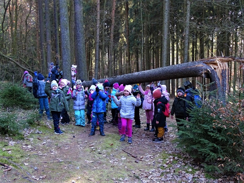 Následovala procházka po lese a sledování větrných polomů.